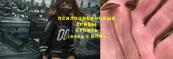 спиды Гусь-Хрустальный