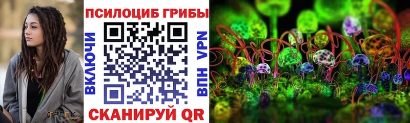 сколько стоит kraken ONION Псилоцибиновые грибы Psilocybine cubensis Оха